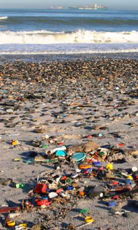 Researcher studies effects of microplastics on the ocean