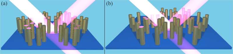 Scientists develop topological defect detection method