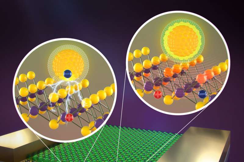 Understanding the generation of light-induced electrical current in atomically thin nanomaterials