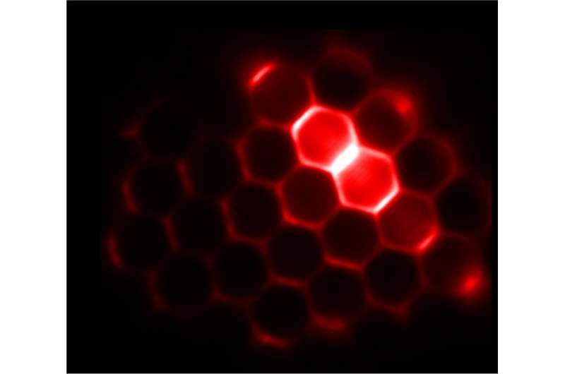 Scientists create continuously emitting microlasers with nanoparticle-coated beads