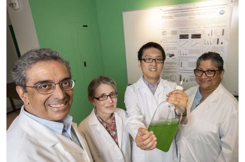 Researchers engineer bacteria to create fertilizer out of thin air