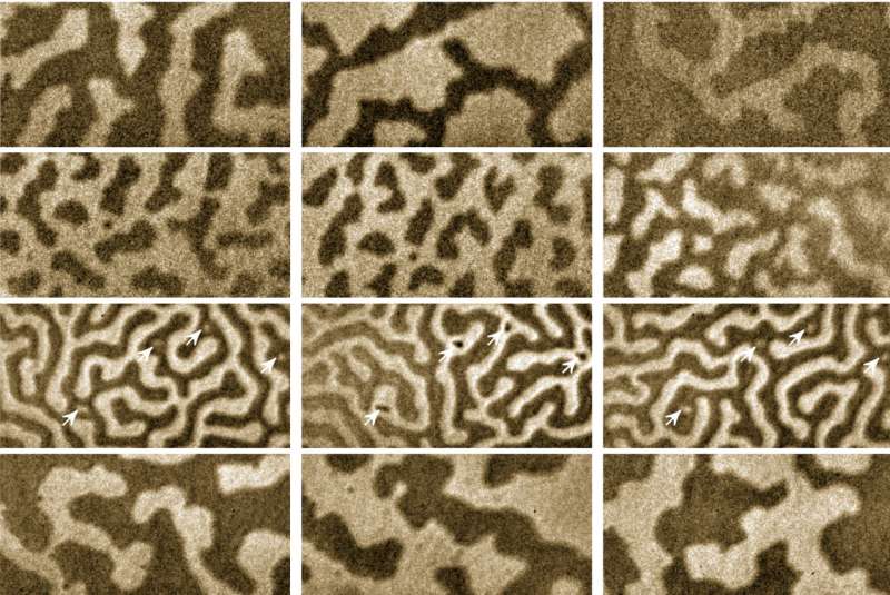 Scientists find ordered magnetic patterns in disordered magnetic material