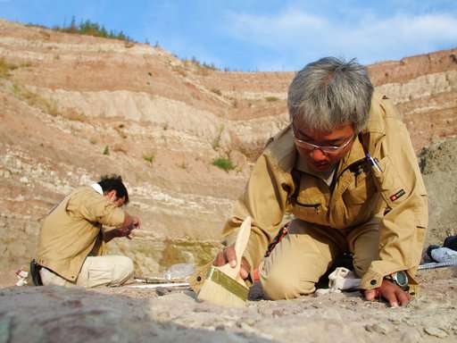 China building boom uncovers buried dinosaurs, makes a star