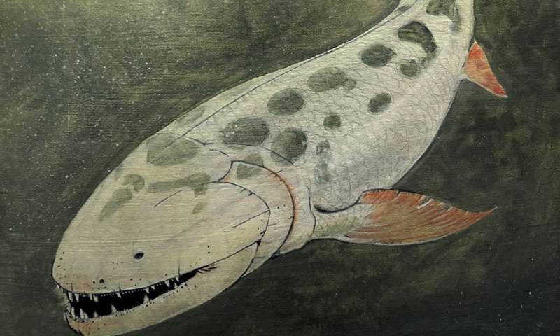 25 years of fossil collecting yields clearest picture of extinct 12-foot aquatic predator