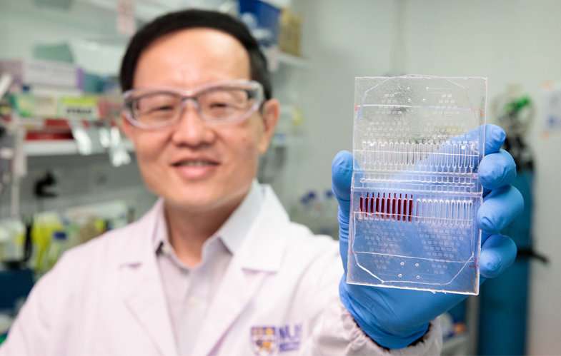 Scientists develop novel cancer cell culture test kit for personalised, precise cancer therapy