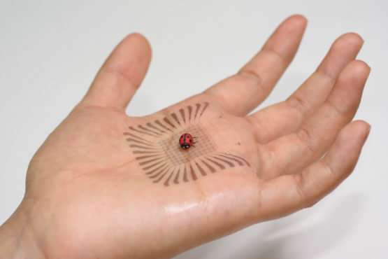 Researchers develop stretchable, touch-sensitive electronics