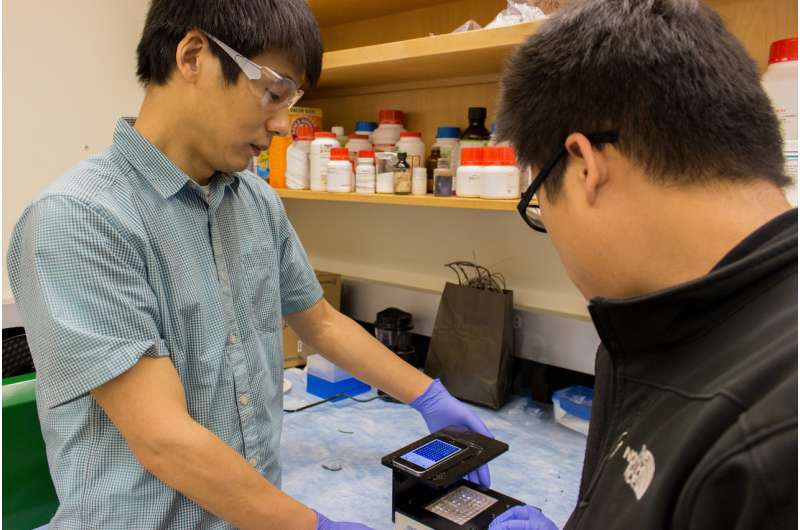 Researchers use smart phone to make a faster infection detector