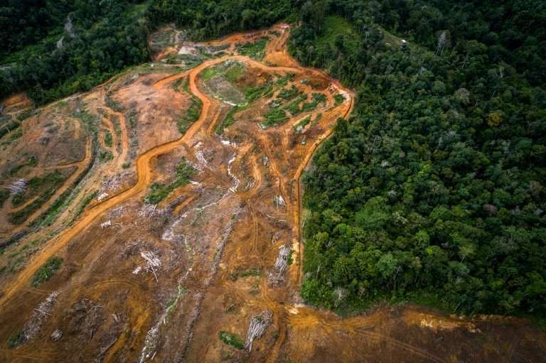 An aerial view shows land cleared for the hydroelectric dam in Indonesia's Batang Toru rainforest