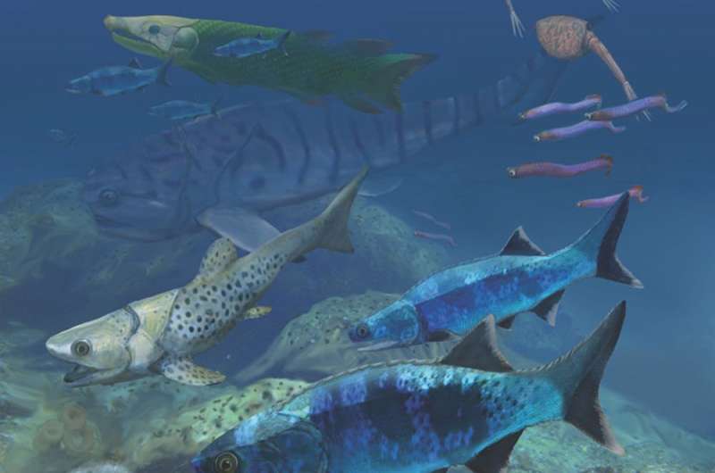 Ancient fish evolved in shallow seas – the very places humans threaten today