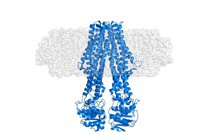 A novel approach for the study of integral membrane proteins