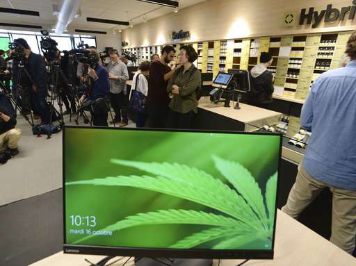 Canada now world's largest legal marijuana marketplace