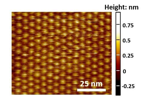 Electrochemical tuning of single layer materials relies on defects