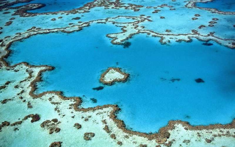 Geoengineering the Great Barrier Reef needs strong rules