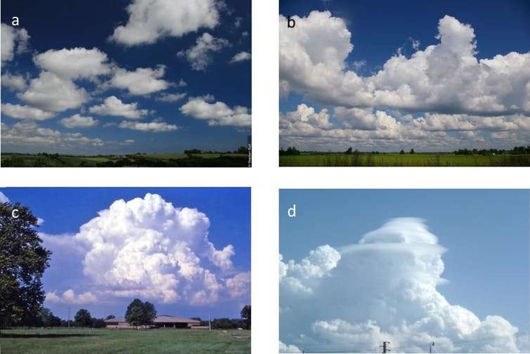 How to discover a new 'species' of cloud – a sky spotter's guide