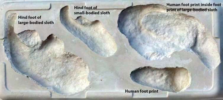 How to hunt a giant sloth – according to ancient human footprints