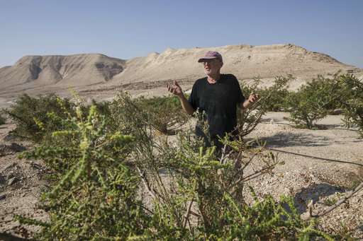 Israeli frankincense farmer cashes in on rare honey