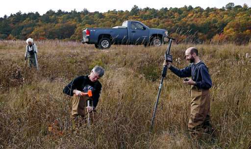 Live-streaming a marshland for fun - and science