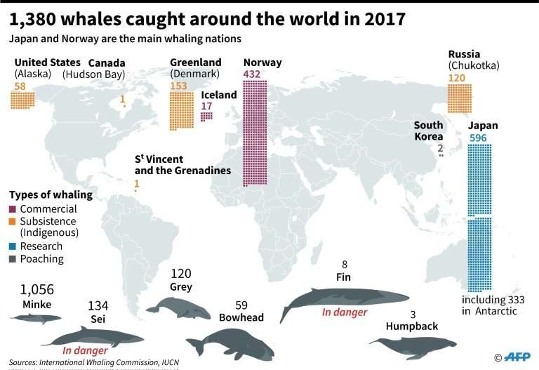 Major whaling nations