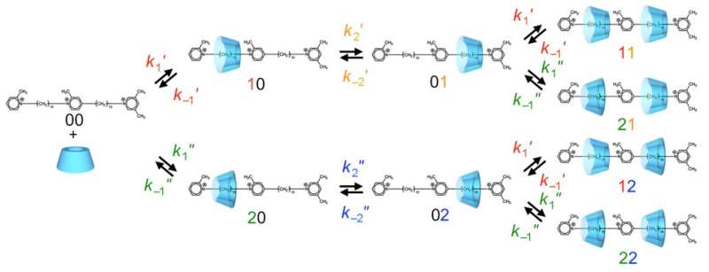 Molecular machine exploits motion in a single direction