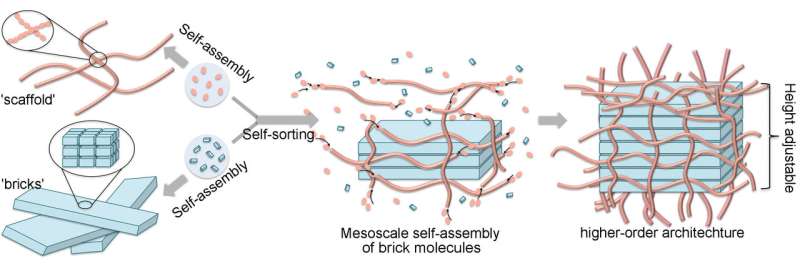 Molecular Scaffolding Aids Construction at the Nanoscale