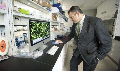 MSU scientists closer to solving arthritic condition in teens