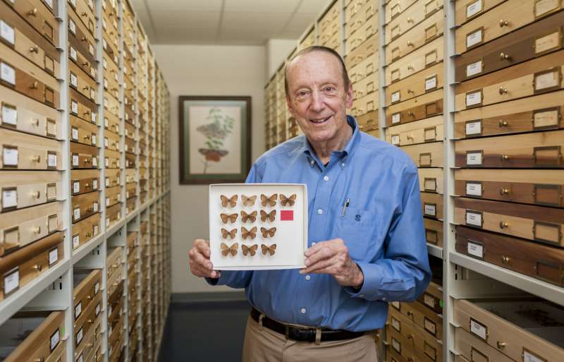 New butterfly species discovered nearly 60 years after it was first collected