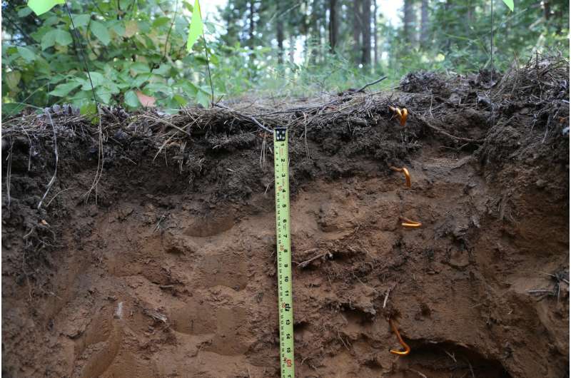 New research unravels the mysteries of deep soil carbon