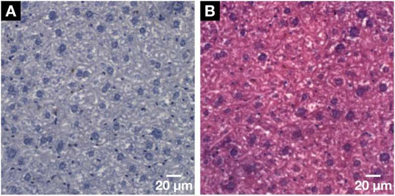 Nucleus-specific X-ray stain for 3D virtual histology