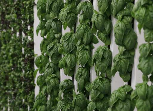 People, power costs keep indoor farming down to Earth