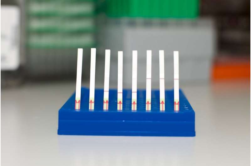 Researchers advance CRISPR-based diagnostic tool, develop miniature paper test