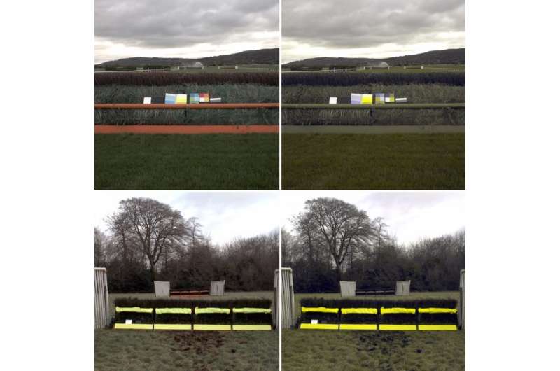 Research into equine vision leads to trial of new fence and hurdle design to further improve safety in jump racing