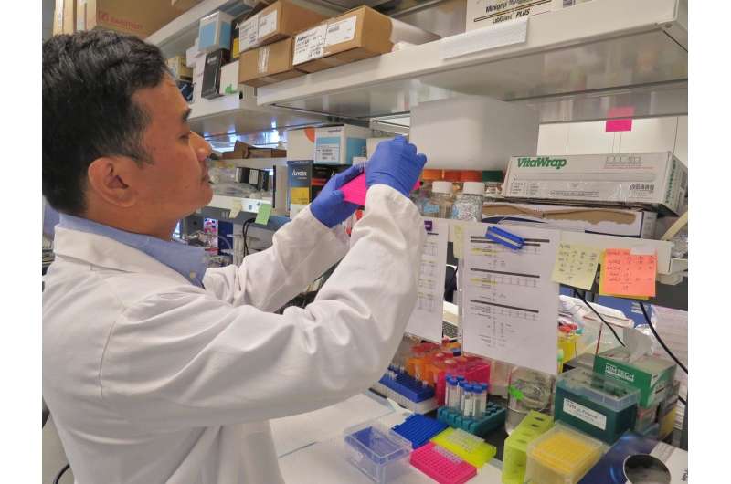 Scientific breakthrough: Promising new target for immunotherapy