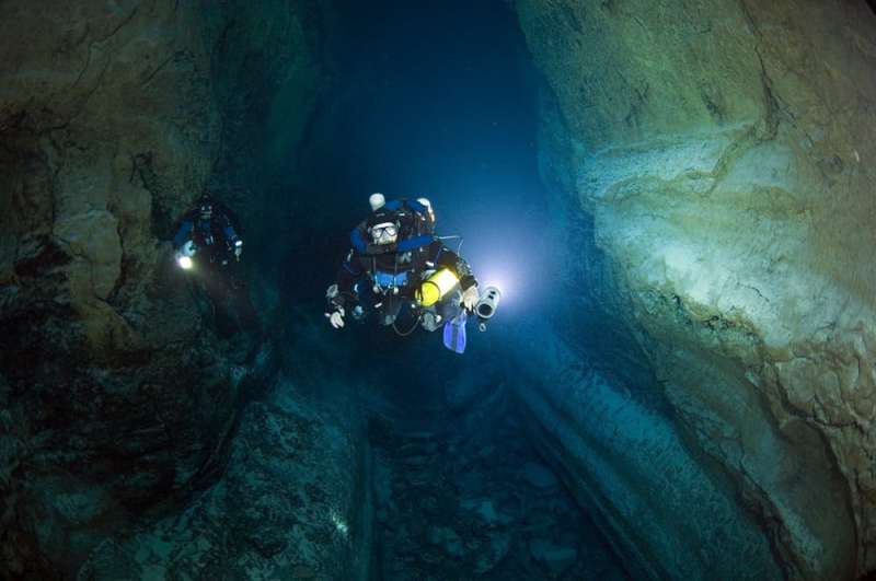 Scientist dives hundreds of underwater caves hunting for new forms of life