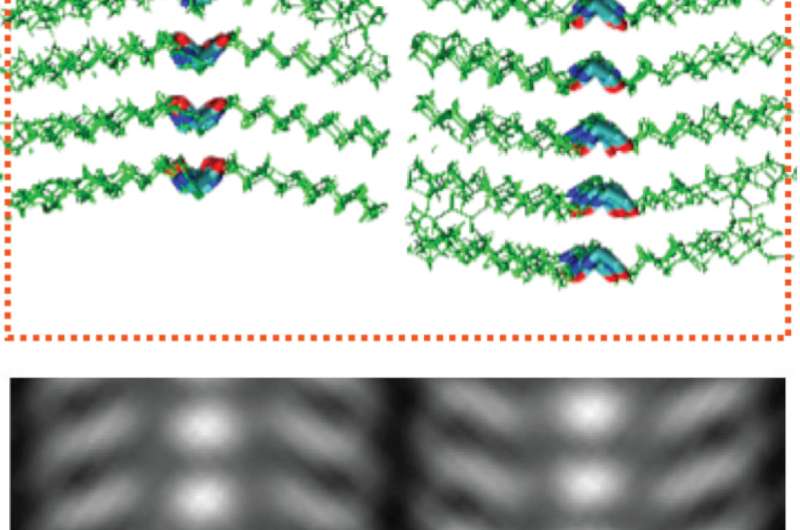 Scientists bring polymers into atomic-scale focus