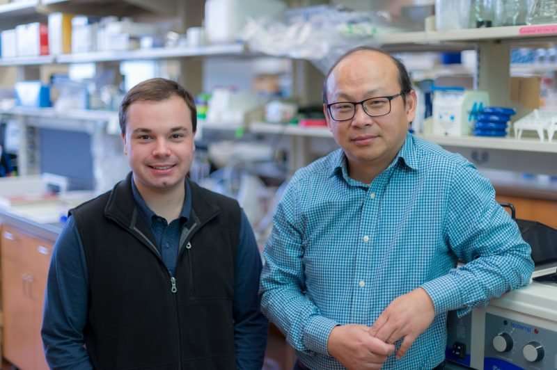 Scientists identify new target for developing precision treatment in malignant brain tumors