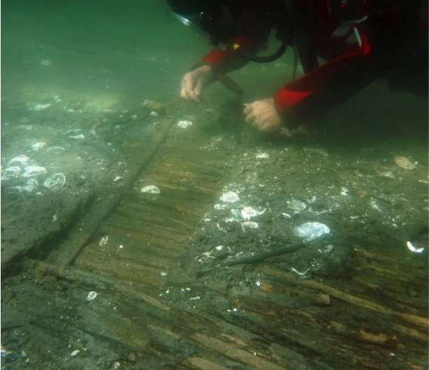Seagrass meadows—an underwater time capsule for archaeology