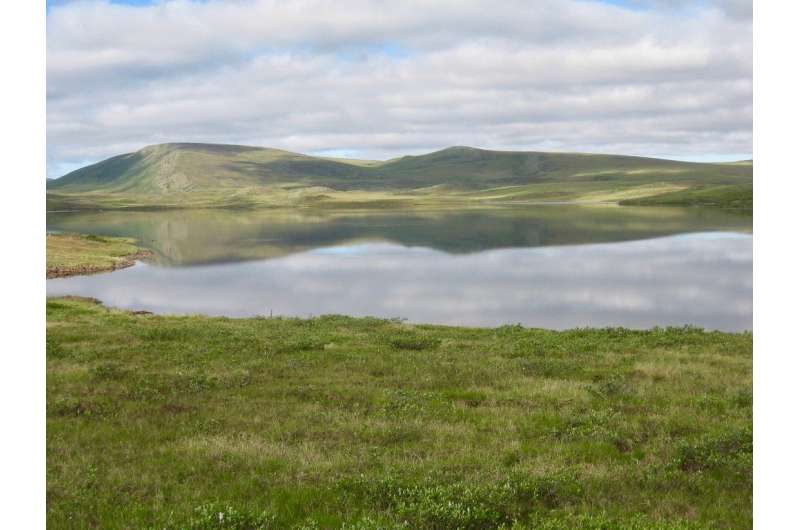 Team discovers a significant role for nitrate in the Arctic landscape