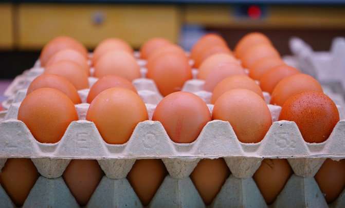 The environmental footprint of the egg industry