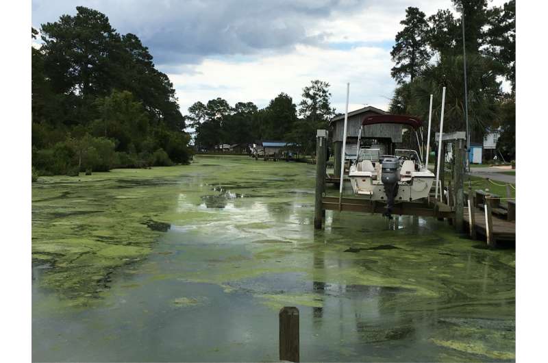 Two decades of hurricanes change coastal ecosystems—increase algae blooms, fish kills, dead zones