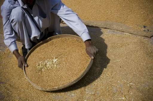 UN report says fragile climate puts food security at risk