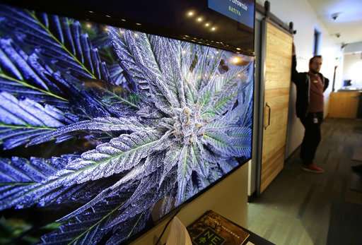 What to expect as 1st pot shops in East finally open