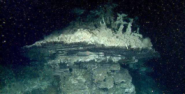Researchers help map and scout for hydrothermal vents in Gulf of California