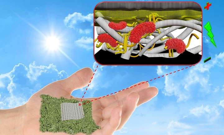 Scientists create biodegradable, paper-based biobatteries
