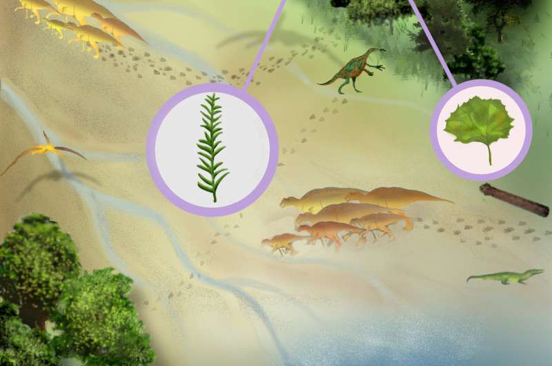 Researchers add surprising finds to the fossil record
