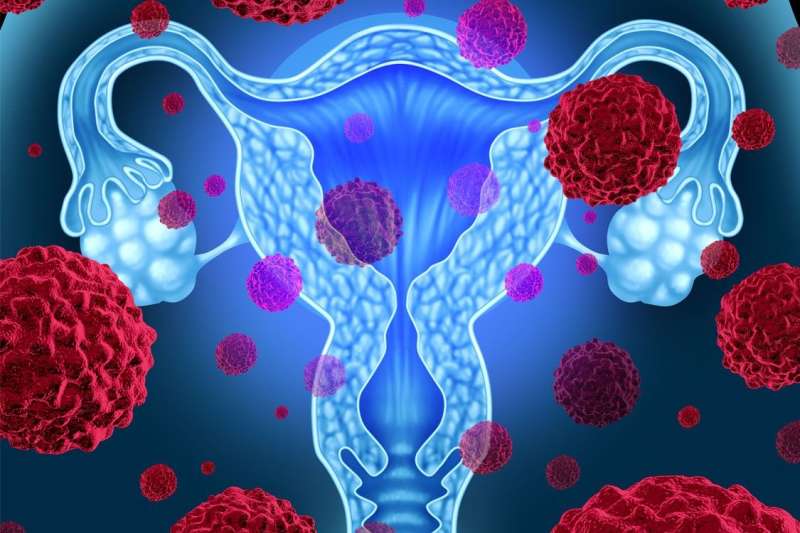 Understanding drug resistance in ovarian cancer