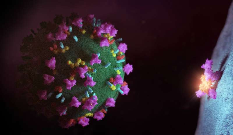 Scientists discover new way that HIV evades the immune system