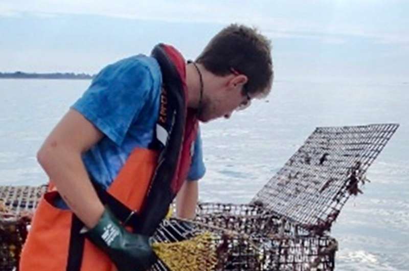 Research reveals link between warming and lobster disease