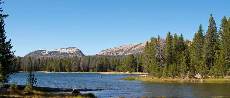 Climate change and its effects on Rocky Mountain alpine lakes