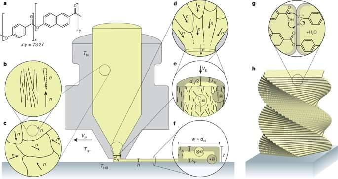 3-D printing hierarchical liquid-crystal-polymer structures
