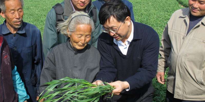 Agricultural sustainability project reached 20.9 million smallholder farmers across China